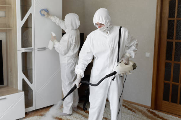 Mold Remediation for Vacation Homes in Camas, WA